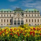 Schloss Belvedere - Wien