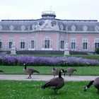 Schloß Benrath bei Düsseldorf