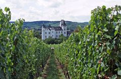 Schloss Berg in Nennig 1