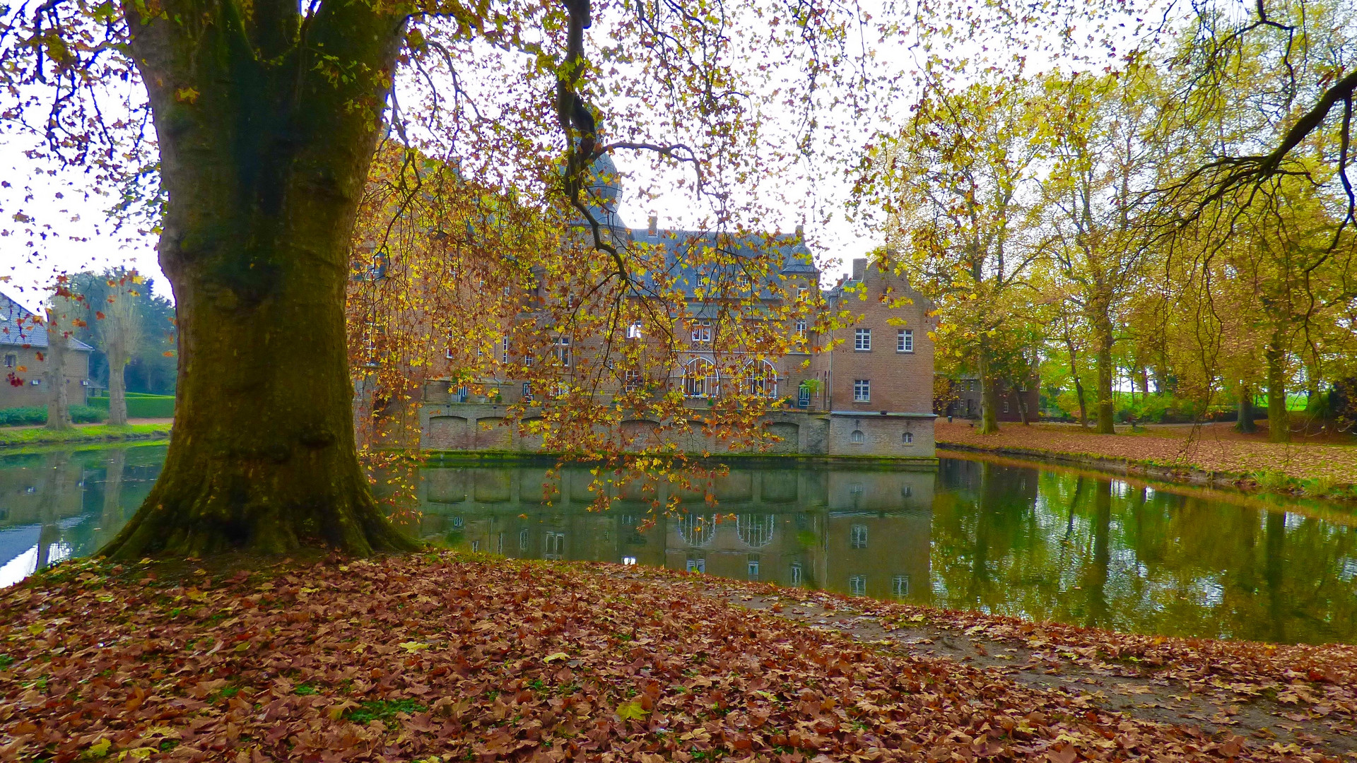 Schloss Bergerhausen im Herbst 