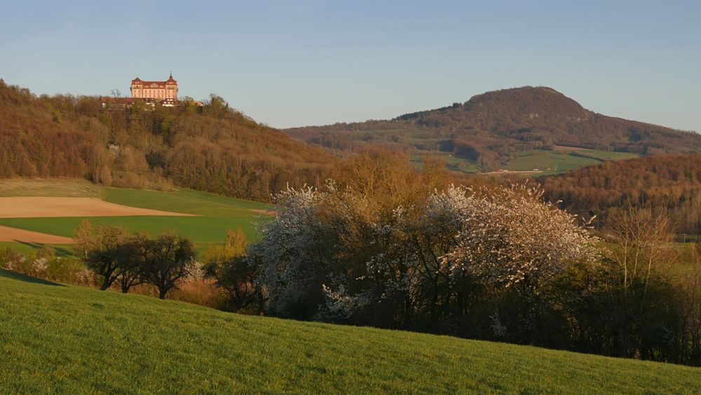 Schloß Bieberstein