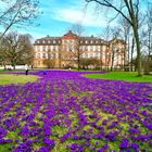 Schloss Biebrich