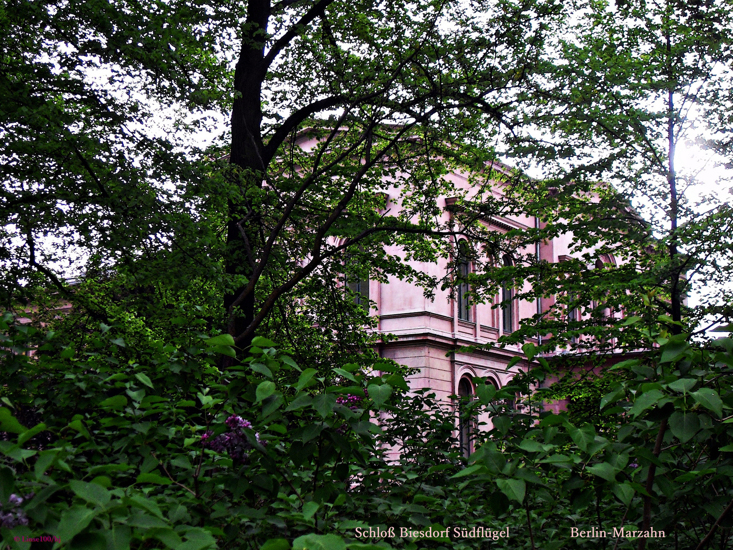 Schloß Biesdorf Südflügel