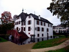 Schloss Binningen ( CH )