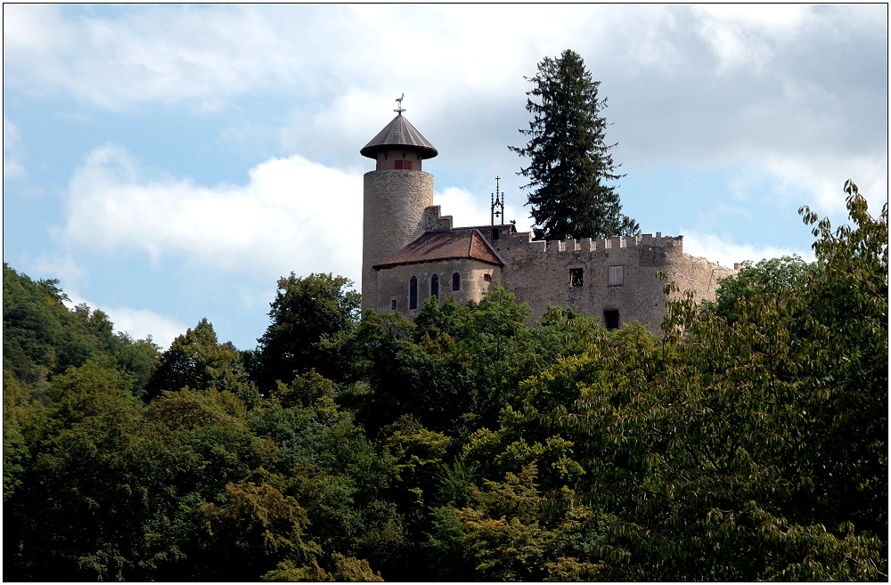 ... Schloss Birseck ...
