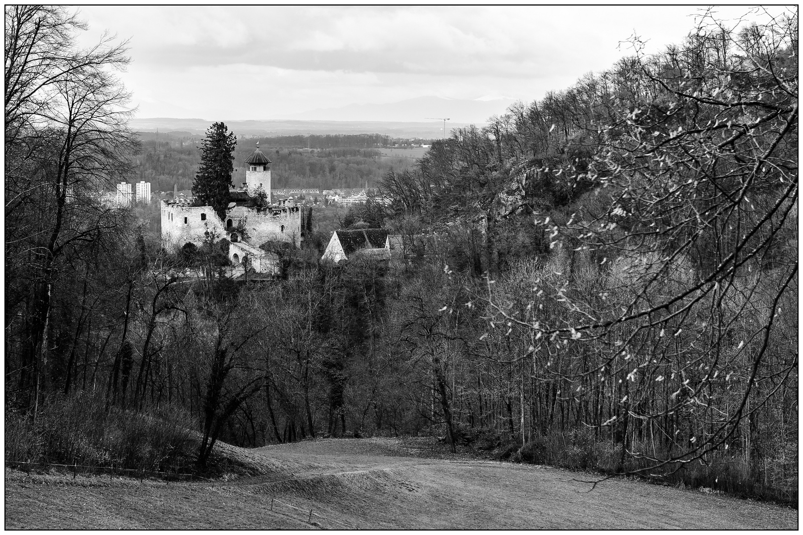 Schloss Birseck #2