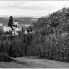 Schloss Birseck #2