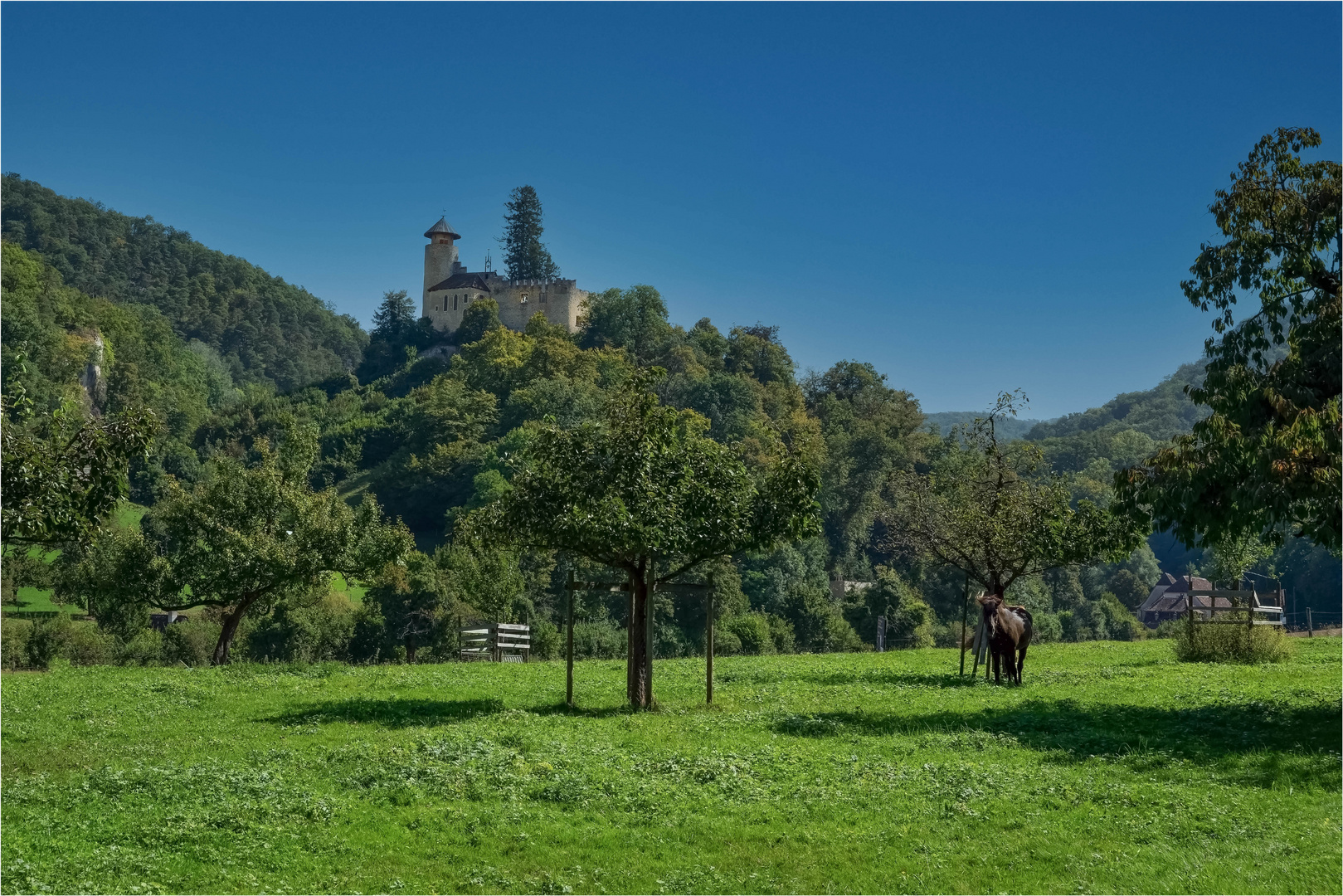 Schloss Birseck