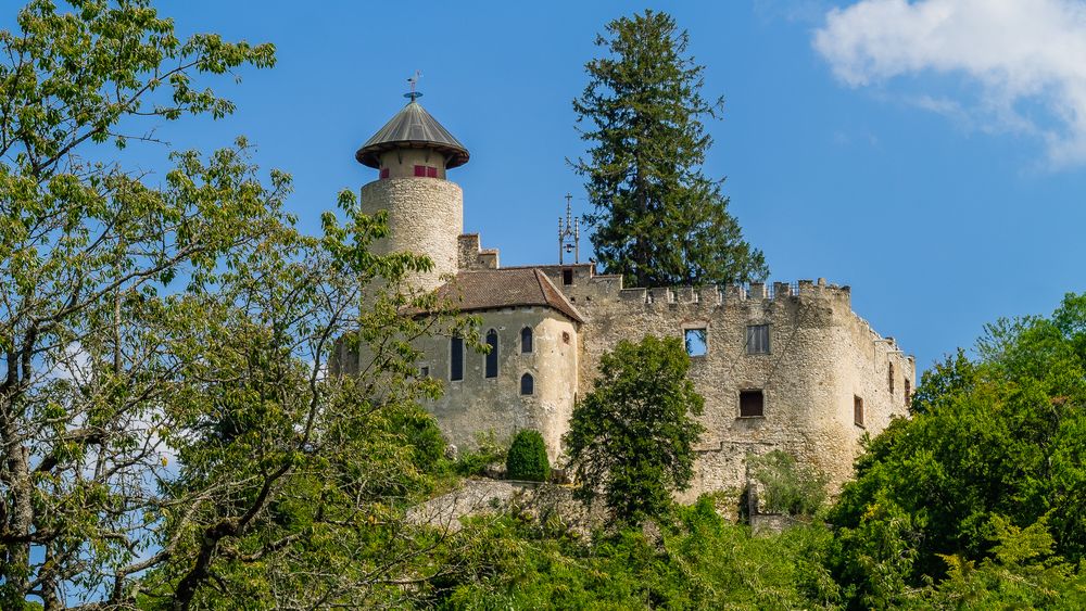 Schloss Birseck Foto & Bild dokumentation, schloss, burg Bilder auf