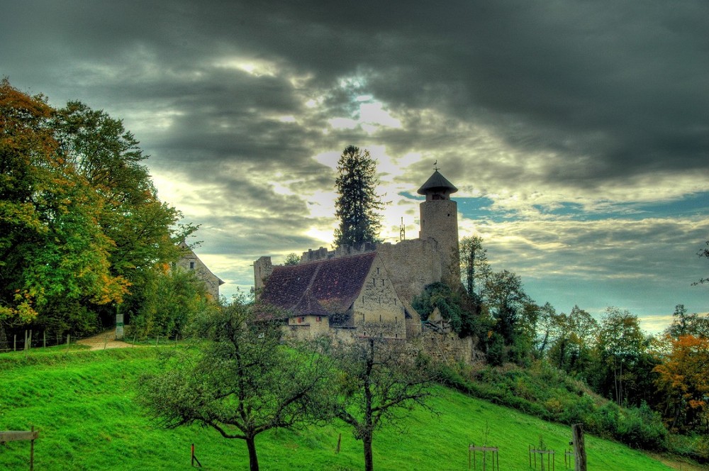 Schloss Birseck