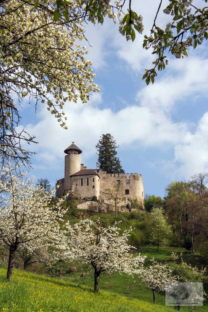 Schloss Birseck