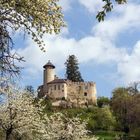 Schloss Birseck