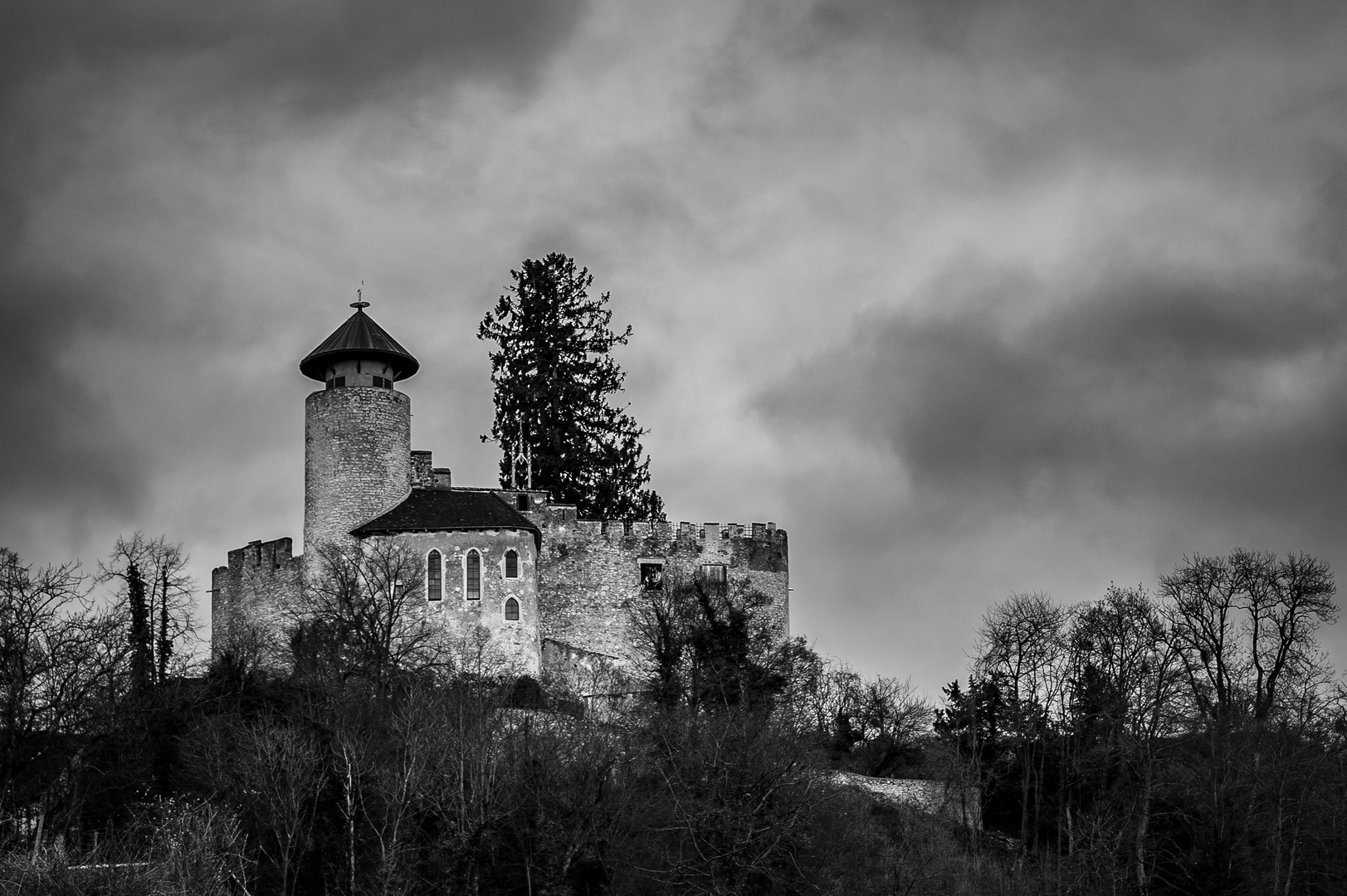 Schloss Birseck