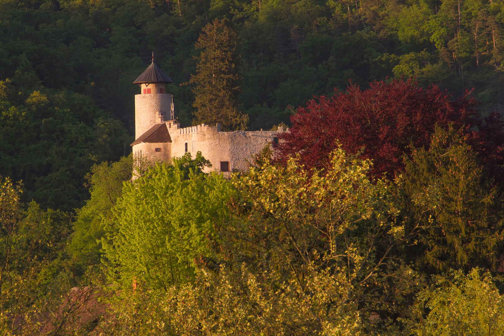 Schloss Birseck bei Arlesheim BL