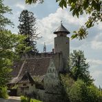  Schloss Birseck in Arlesheim BL