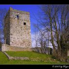 Schloss Blatten 1, CH-9463 Oberriet