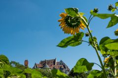 Schloss Blumenfeld