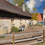 Schloss Blumenthal (Aichach)