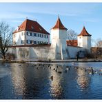 Schloss Blutenburg und die Enten