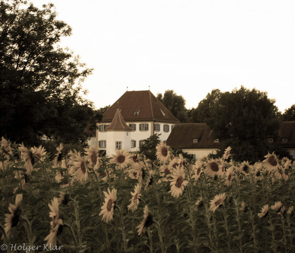 Schloß Blutenburg V