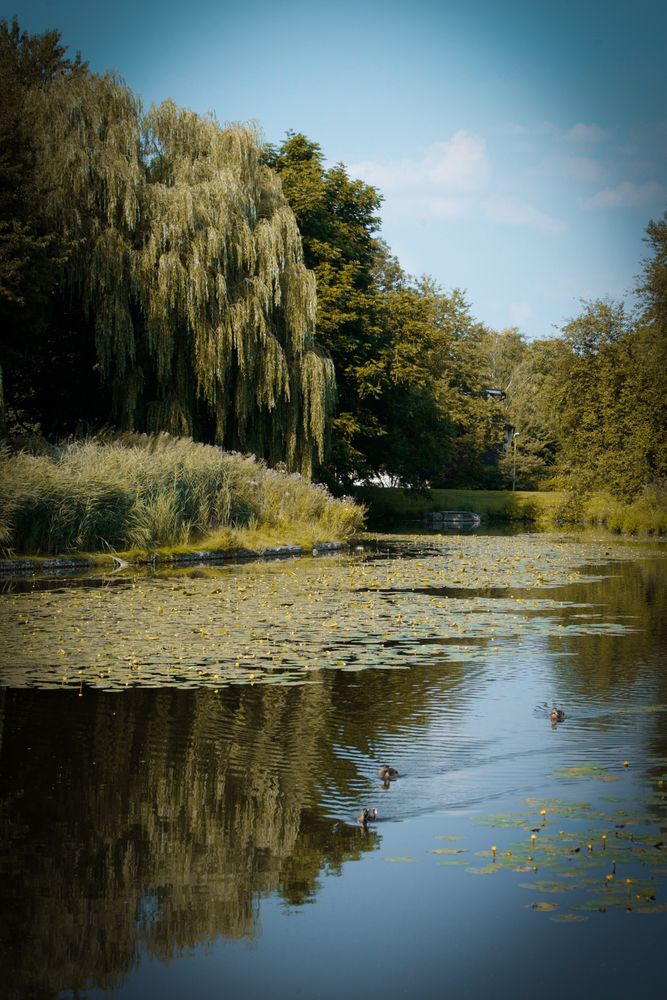 Schloss Borbeck