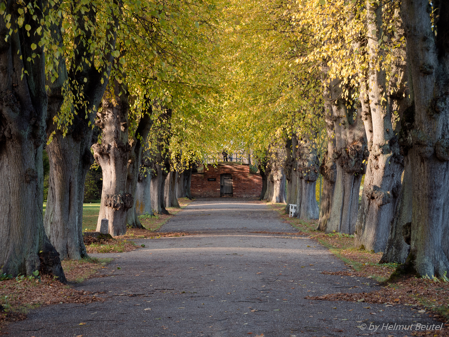 Schloß Bothmer - der Weg zum Eiskeller