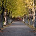 Schloß Bothmer - der Weg zum Eiskeller