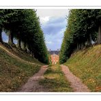 Schloss Bothmer - Festonallee