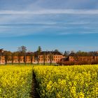 Schloss Bothmer im gelben Gewand