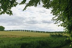 Schloß Bothmer im Klützer Winkel