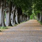 Schloss Bothmer, Mecklenburg V