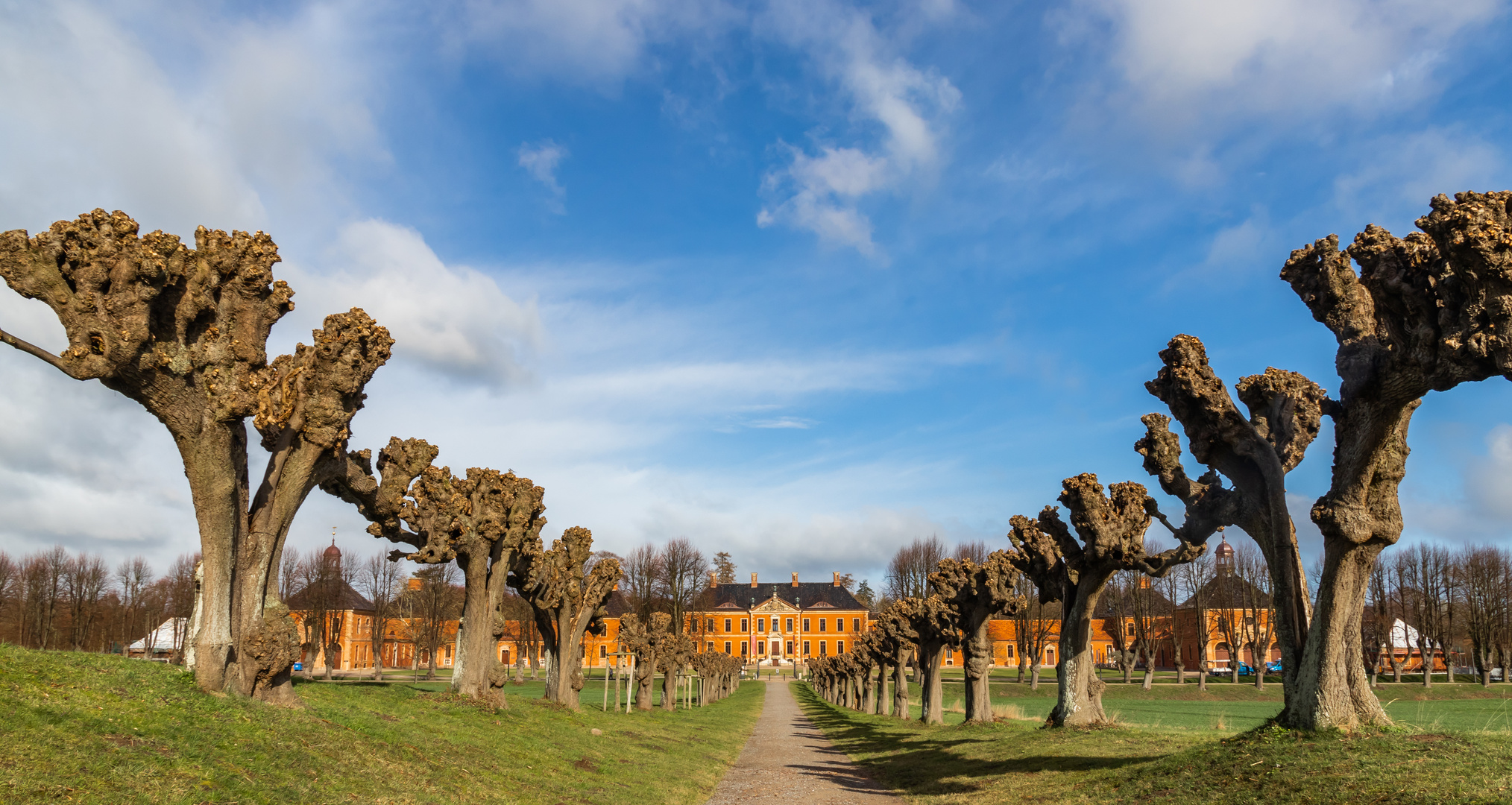 Schloss Bothmer mit der Festonallee nach dem Pflegeschnitt