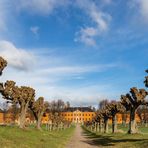 Schloss Bothmer mit der Festonallee nach dem Pflegeschnitt