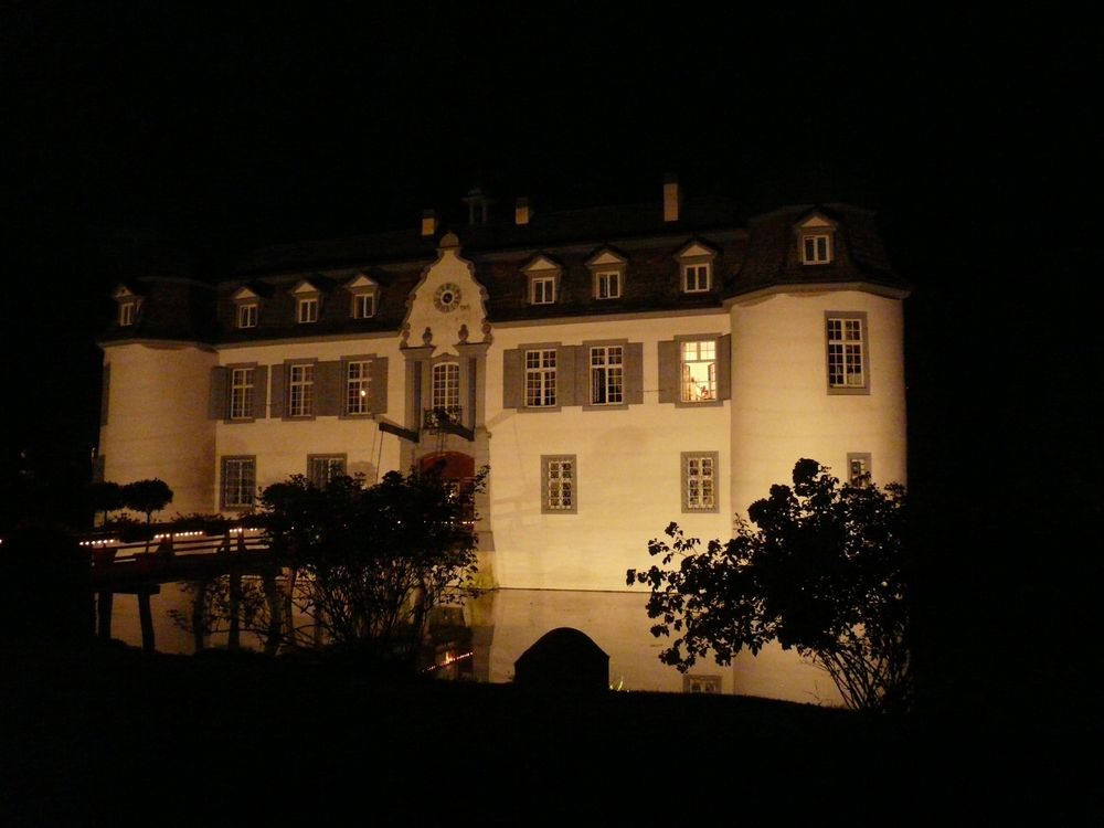 Schloss BOTTMINGEN ( CH )