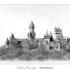 SCHLOSS BRAUNFELS