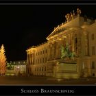 Schloss Braunschweig