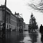 Schloss Braunschweig bei Regen