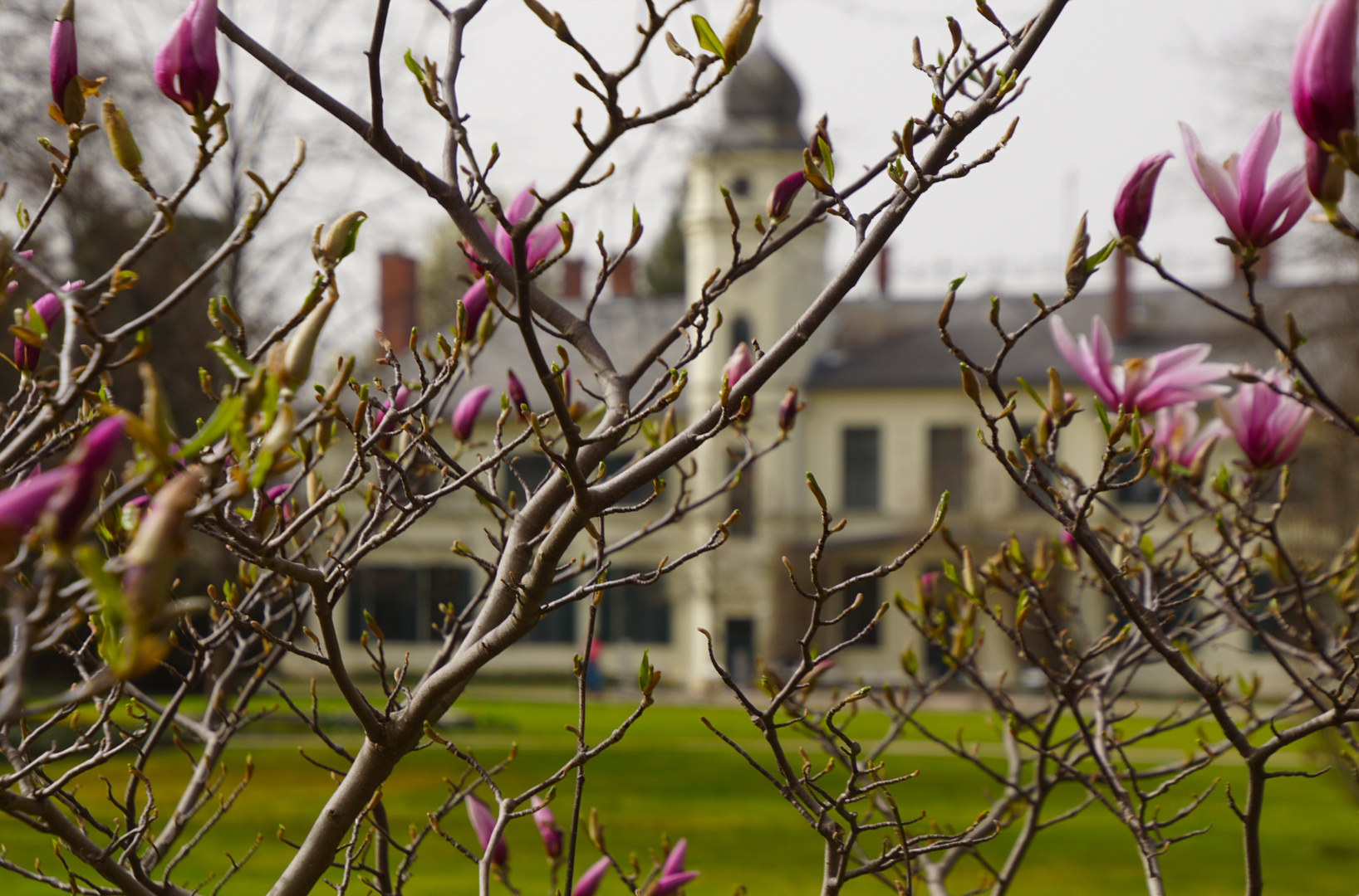 Schloss Britz