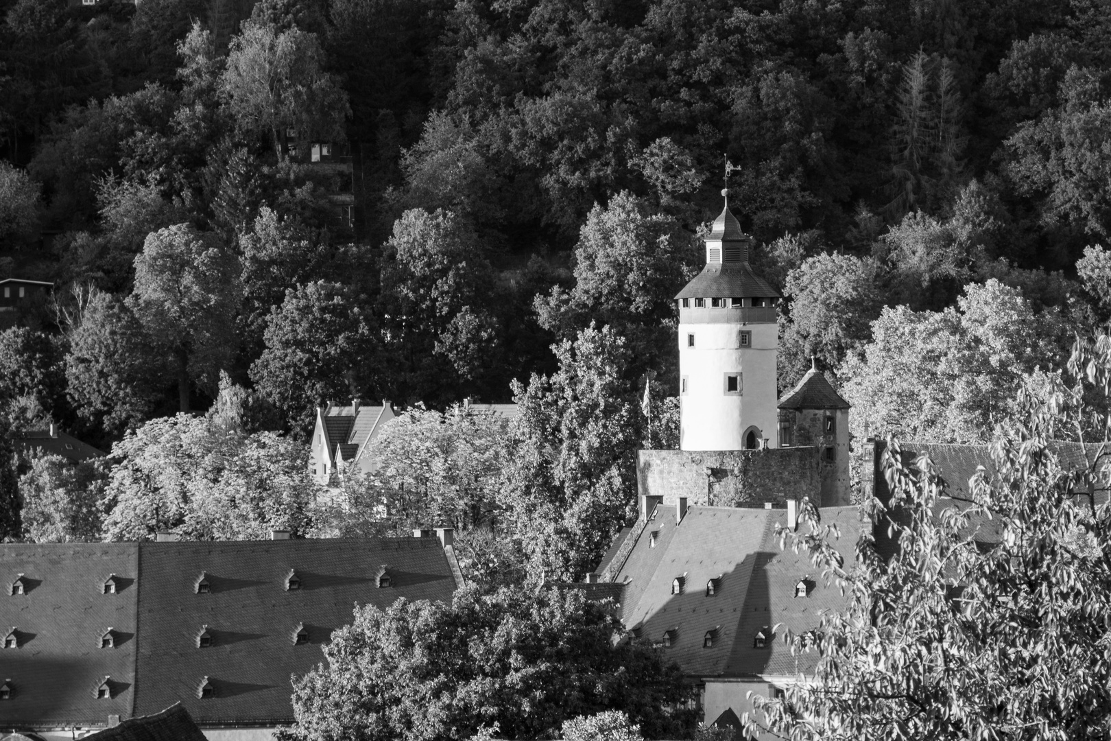 schloss büdingen-3227