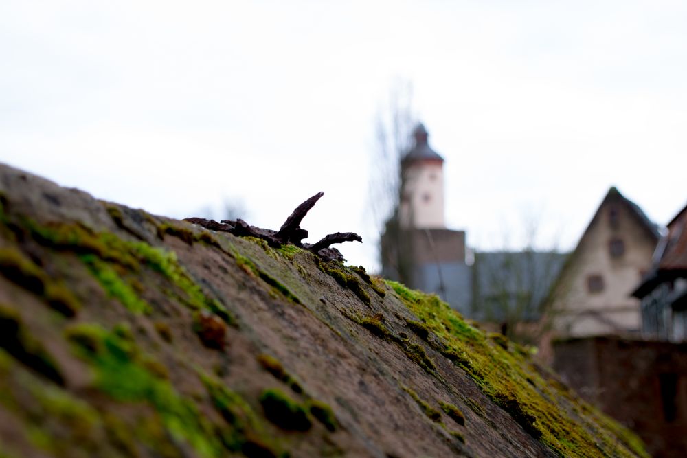 schloss büdingen