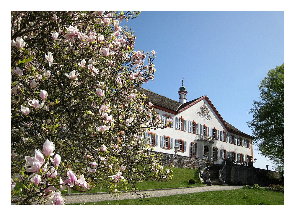 Schloss Bürgeln im Frühling