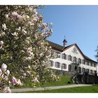 Schloss Bürgeln im Frühling