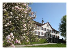 Schloss Bürgeln im Frühling