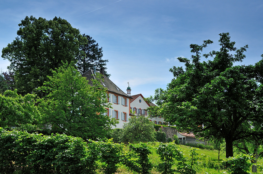 Schloss Bürgeln " Perle des Markgräflerlandes " Nr.1