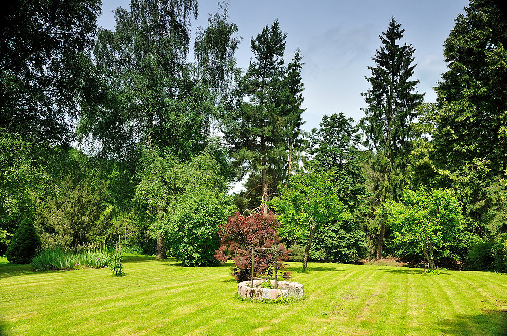 Schloss Bürgeln " Perle des Markgräflerlandes " Nr.19