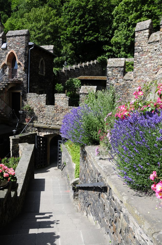 Schloss Burg am Rhein