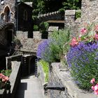 Schloss Burg am Rhein