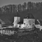 Schloss-Burgdorf