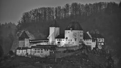 Schloss-Burgdorf