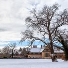 - Schloss Cecilienhof -